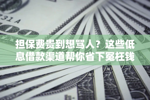 济南担保费贵到想骂人？这些低息借款渠道帮你省下冤枉钱