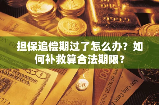 济南担保追偿期过了怎么办？如何补救算合法期限？