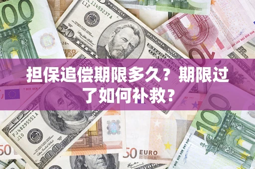 济南担保追偿期限多久？期限过了如何补救？